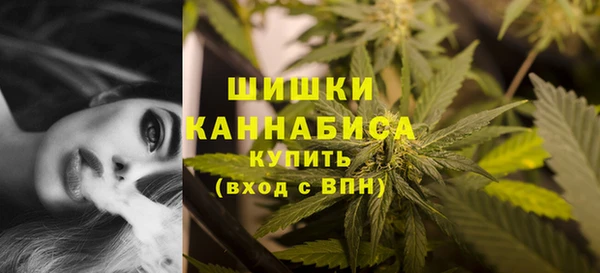 а пвп мука Бородино