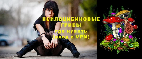 а пвп мука Бородино