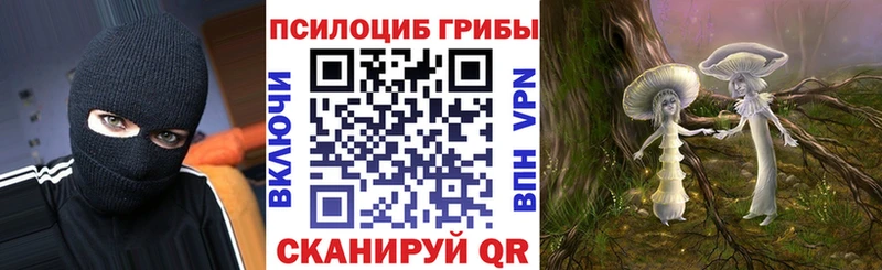 Псилоцибиновые грибы Psilocybe  где можно купить наркотик  Гремячинск 